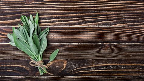 how-to-cook-with-sage-11-culinary-uses-for-sage image