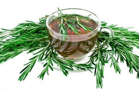 rosemary-tea-why-try-this-flavorful-tisane-tea-backyard image