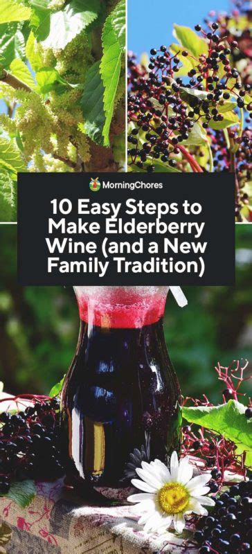 10-easy-steps-to-make-homemade-elderberry-wine image