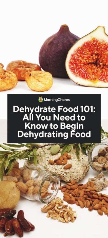 dehydrate-food-101-all-you-need-to-know-to-begin image
