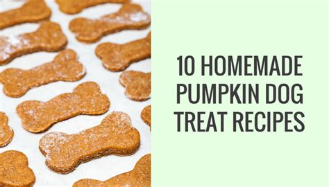 10-homemade-dog-treat-recipes-made-with-pumpkin image