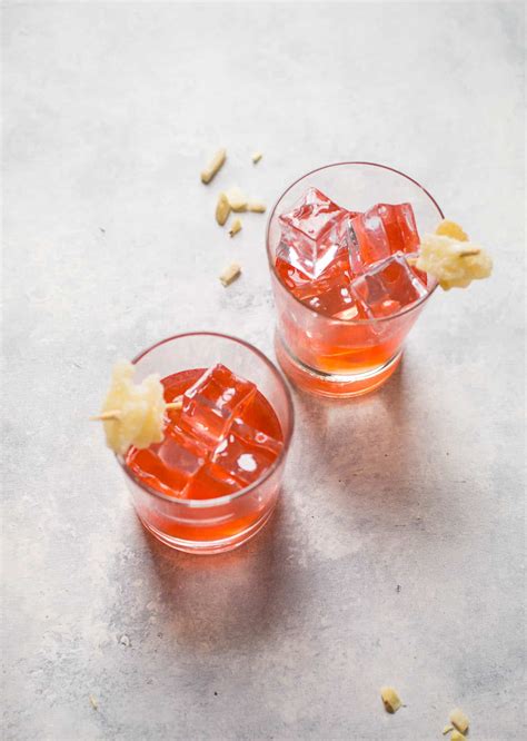 berry-ginger-vodka-cocktail-salted-plains image