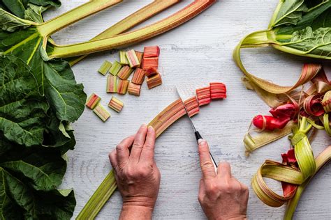 easy-stewed-rhubarb-canadian-living image
