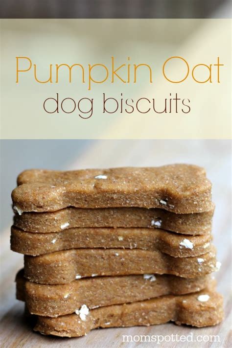 pumpkin-oat-biscuits-your-dog-will-love-mom-spotted image