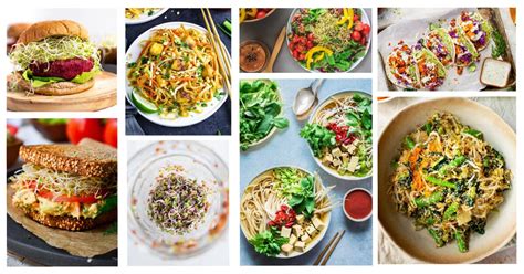 15-recipes-with-sprouts-how-to-eat-sprouts-ideas image