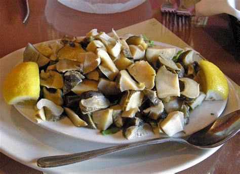 rhode-island-snail-salad-roadfood image