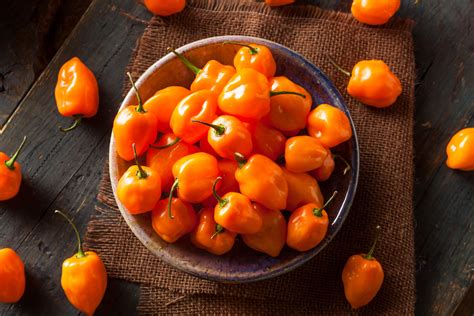 how-to-use-habanero-peppers-in-your-cooking image