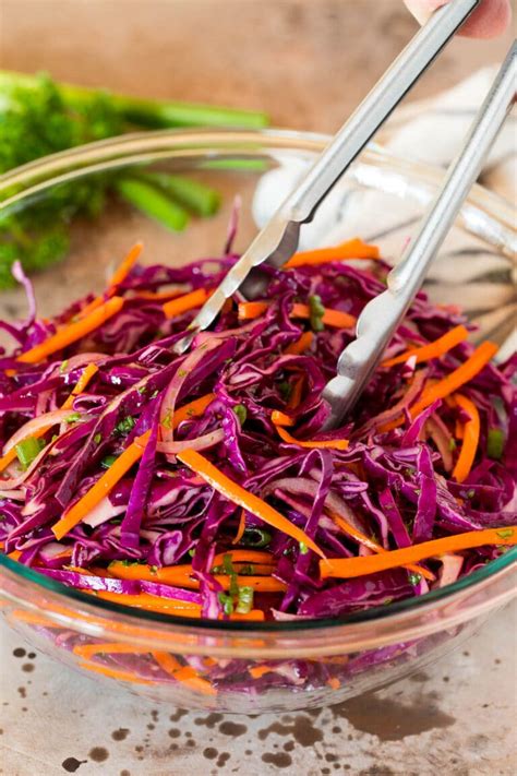 red-cabbage-slaw-dinner-at-the-zoo image
