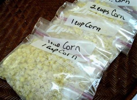kittencals-method-for-sweet-freezer-corn-niblets image