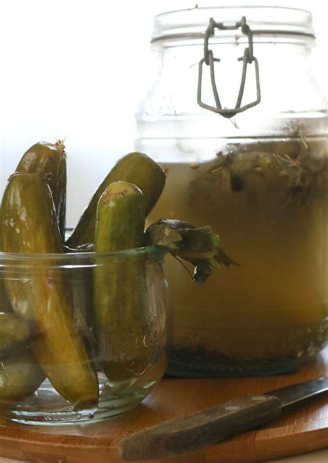 easy-lacto-fermented-dill-pickles-prepare-nourish image