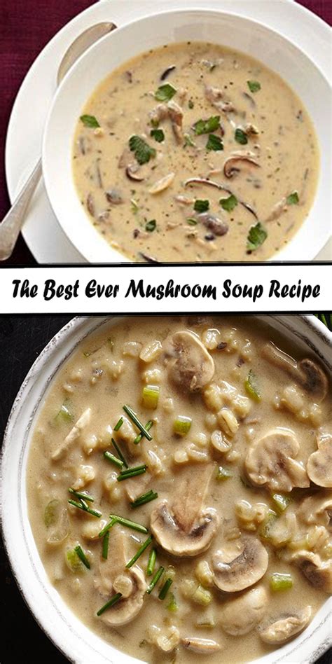 the-best-ever-mushroom-soup-recipe-tasty-recipesnet image