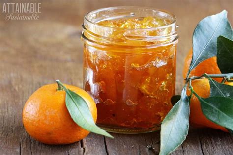 easy-tangerine-marmalade-recipe-attainable-sustainable image