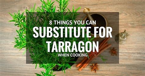 8-amazing-tarragon-substitutes-when-cooking image