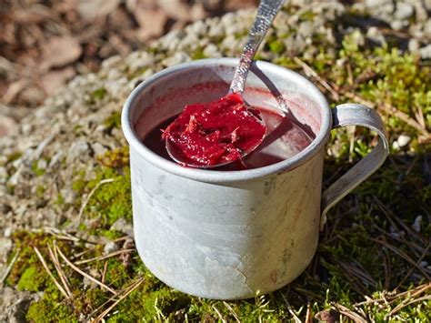 hot-borscht-dehydrated-backpacking-meals-trail image