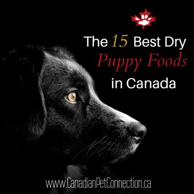 the-15-best-puppy-foods-in-canada-for-2023 image