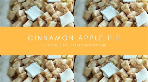 simple-cinnamon-apple-pie-recipe-for-fall-moms image