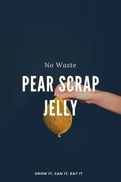 pear-jelly-an-easy-no-waste-pear-scrap-jelly image