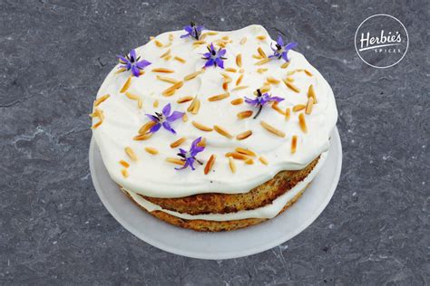 apricot-almond-torte-herbies-spices image