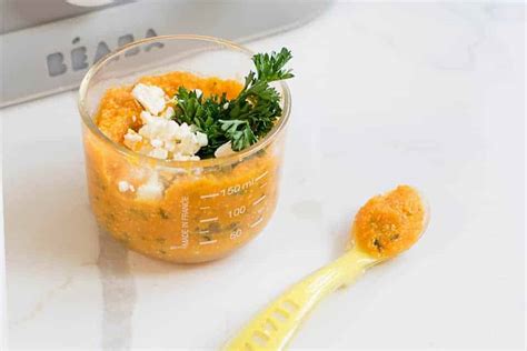 moroccan-spiced-carrot-baby-food-pure-baba-usa image