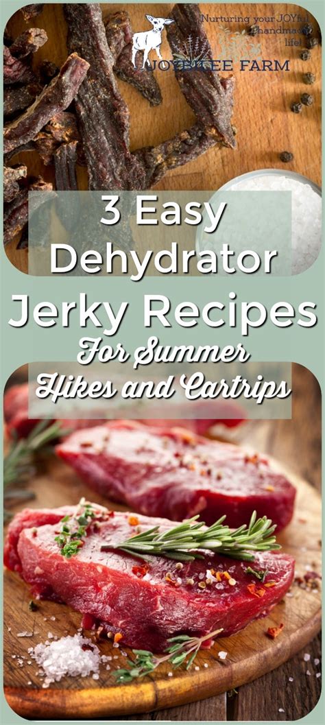 3-easy-dehydrator-jerky-recipes-for image