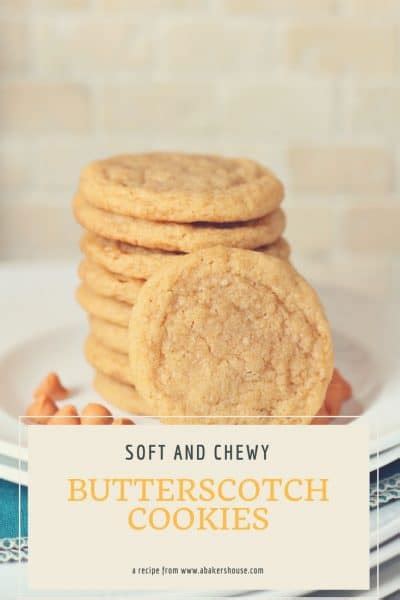 butterscotch-cookies-a-bakers-house image