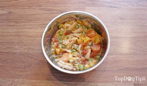 homemade-dog-food-for-puppies-recipe-healthy-and image