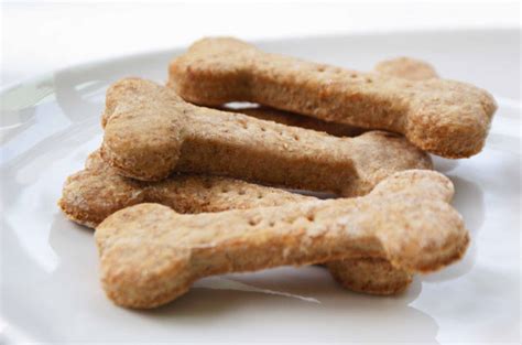 easy-peasy-peanut-butter-dog-treats-recipe-petguide image