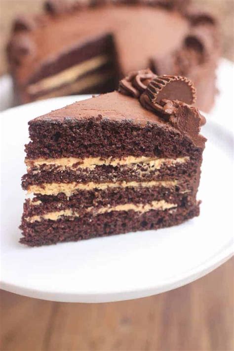 chocolate-peanut-butter-cake-tastes-better-from-scratch image
