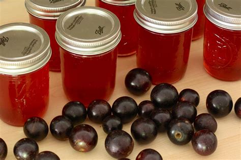 how-to-can-muscadines-hgtv image