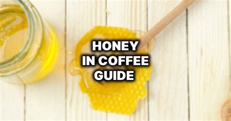 honey-in-coffee-good-or-bad-idea-thecozycoffee image
