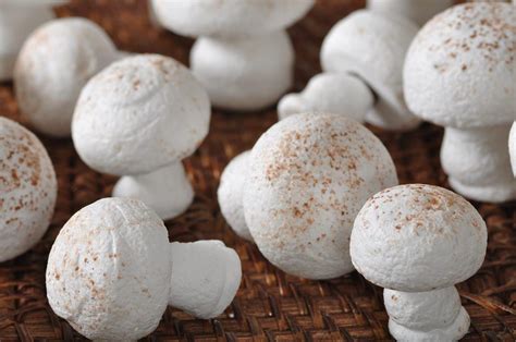 meringue-mushrooms-joyofbakingcom-video image