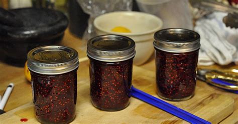 10-best-raspberry-jam-with-pectin-recipes-yummly image