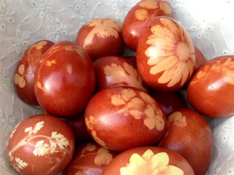 easter-eggs-naturally-dyed-with-onion-skins-video image
