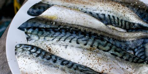 mackerel-fillet-recipes-great-british-chefs image