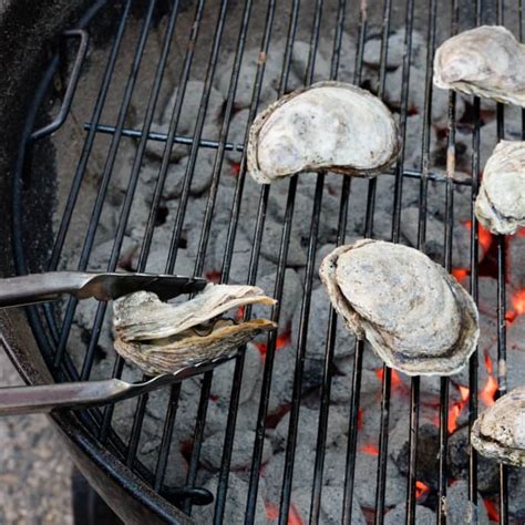 charcoal-grilled-clams-mussels-or-oysters-americas image