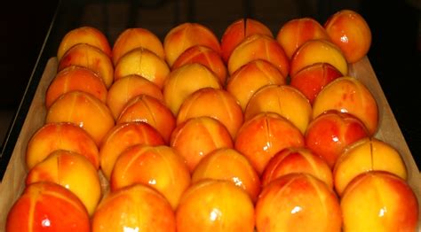 honey-glazed-scallops-with-peach-salsa-remcooks image
