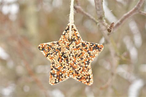how-to-make-birdseed-ornaments-easy-birdseed image