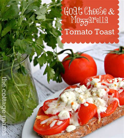 goat-cheese-mozzarella-tomato-toast-recipe-the image