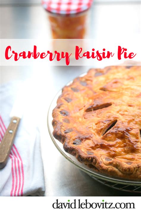 cranberry-raisin-pie-david-lebovitz image
