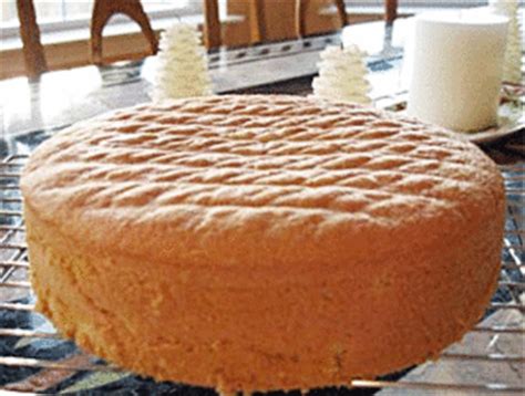basic-genoise-sponge-cake-recipe-craftybaking image