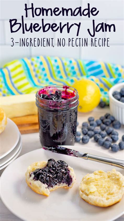 how-to-make-blueberry-jam-no-pectin-recipe-scattered image