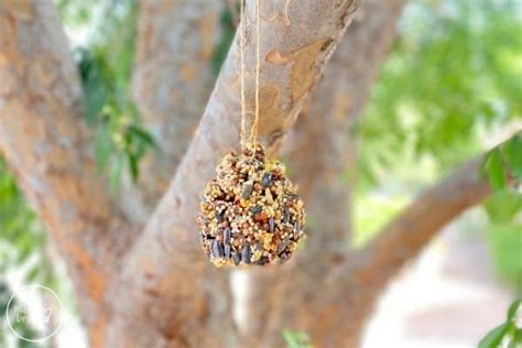 how-to-make-a-pinecone-bird-feeder-mombrite image