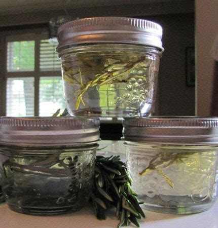 bernardin-home-canning-because-you-can-rosemary image