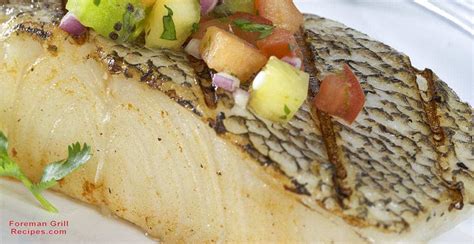 easy-grilled-chilean-sea-bass-with-fennel-and-citrus-salad image