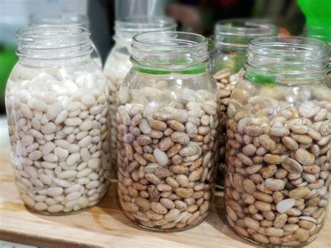 canning-dried-beans-with-bean-bread-recipe-a-farm image