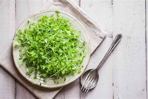 10-of-the-best-greens-to-eat-food-matters image