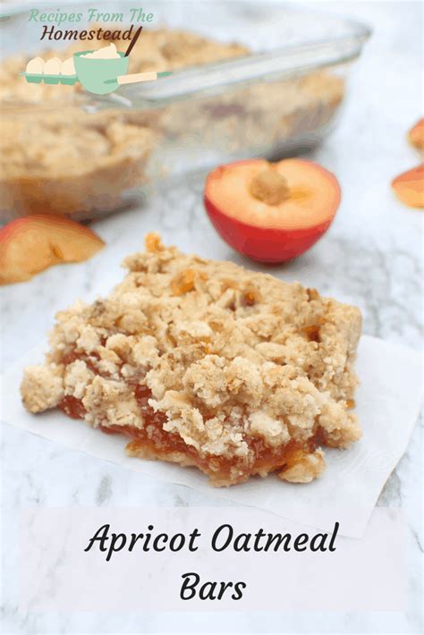 apricot-oat-bars-hug-for-your-belly image