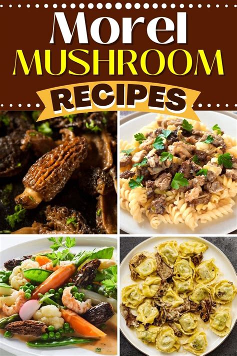 17-best-morel-mushroom-recipes-insanely-good image