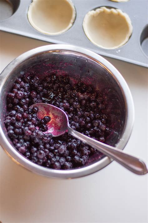 easy-blueberry-pie-recipe-mini-the-taylor image