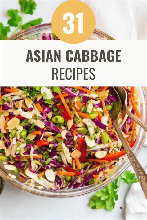 31-creative-asian-cabbage-recipes-to-satisfy-your image